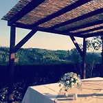 Marrucola *